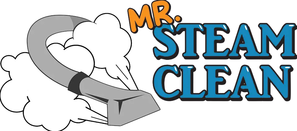 Mr. Steam Clean Logo